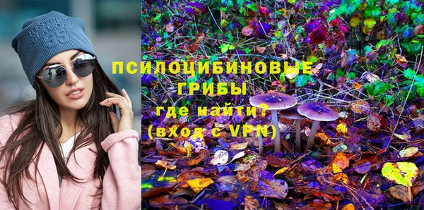 ешки Зеленодольск